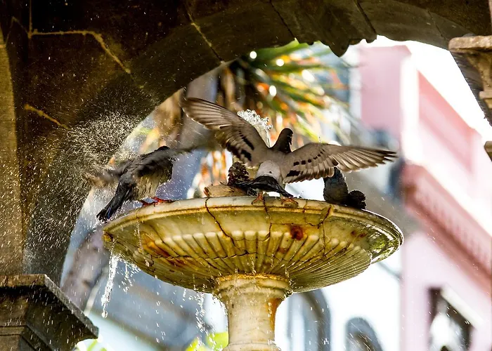 Aminta 3* Las Palmas de Gran Canaria