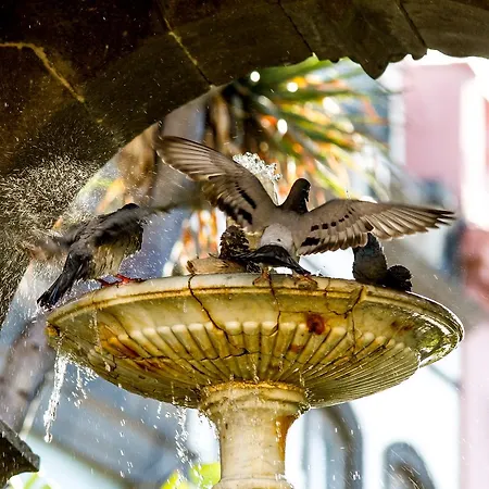 Aminta 3* Las Palmas