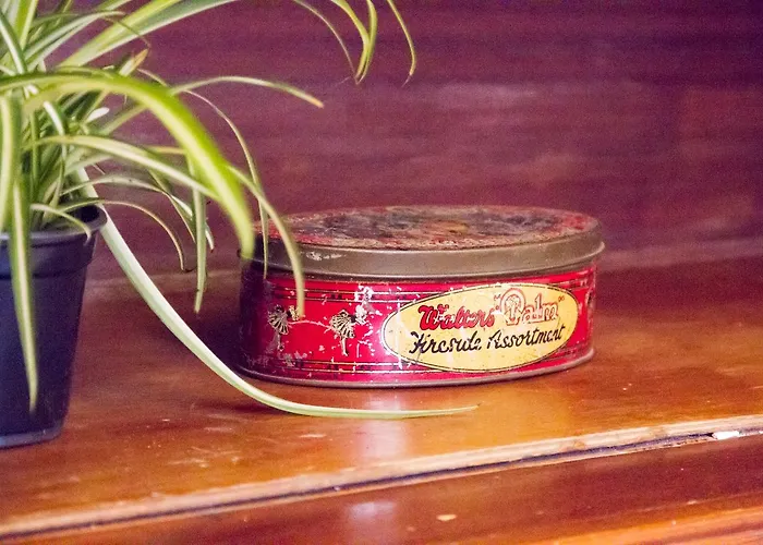 Aminta Charmy In Vegueta